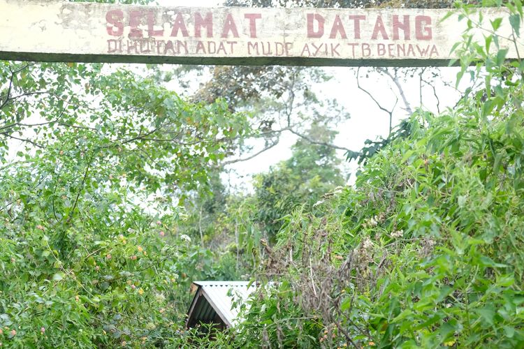 Pintu masuk Hutan Adat Tebat Benawa, Pagar Alam, Sumatera Selatan.