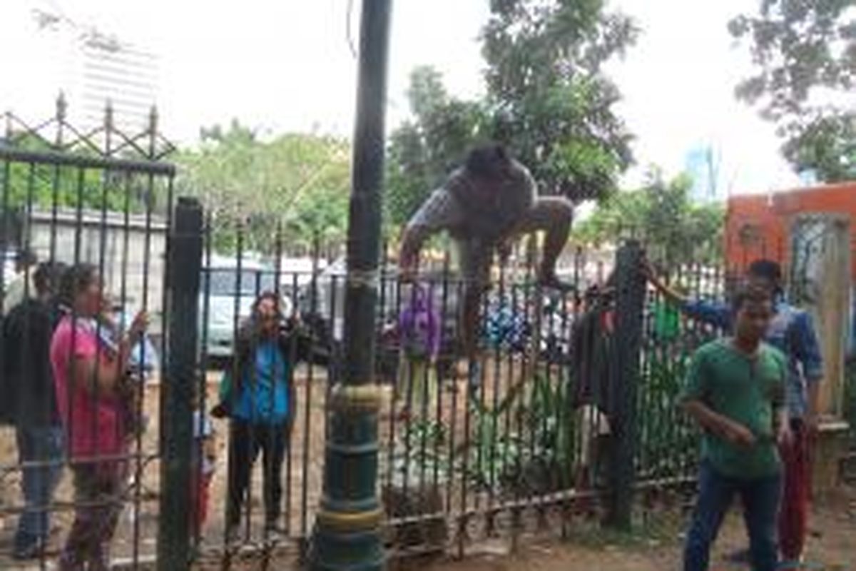 Seorang pedagang kaki lima (PKL) melompati pagar Monumen Nasional demi bisa berjualan di dalam area kawasan tersebut, Kamis (28/5/2015)