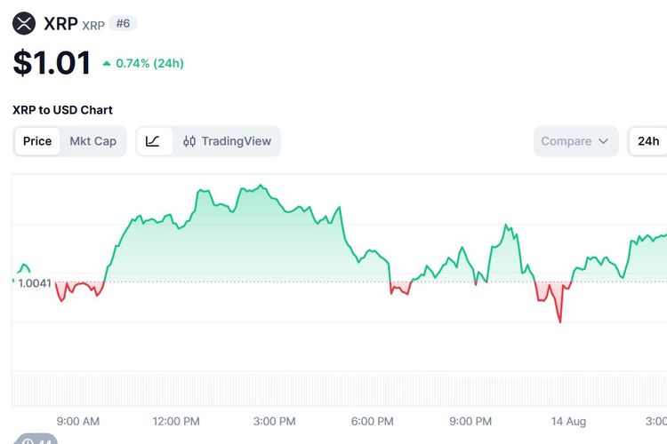 Harga XRP Hari Ini 14 Agustus 2026 Naik Usai Terperosok di Zona Merah