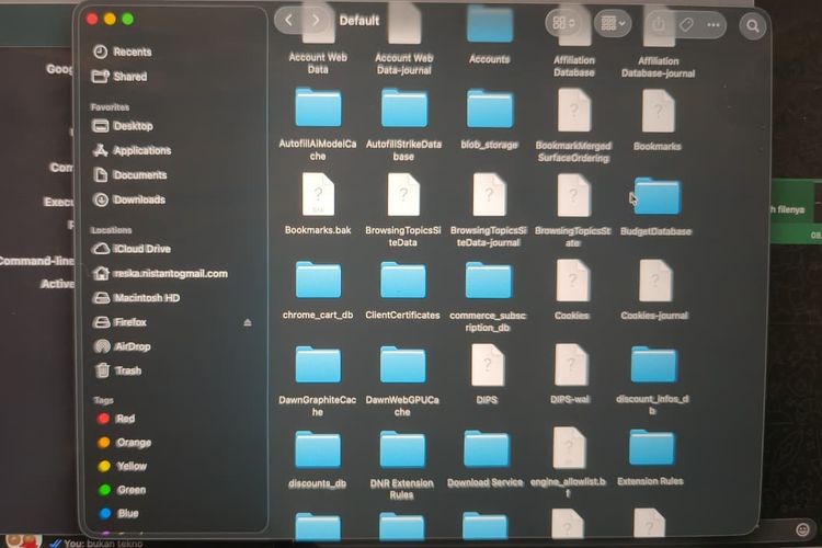 Pencarian file weights.bin milik Google Chrome di macOS.
