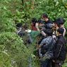 Cerita Polisi Bongkar Ladang Ganja 1 Hektar, Seminggu di Hutan hingga Alami Sakit