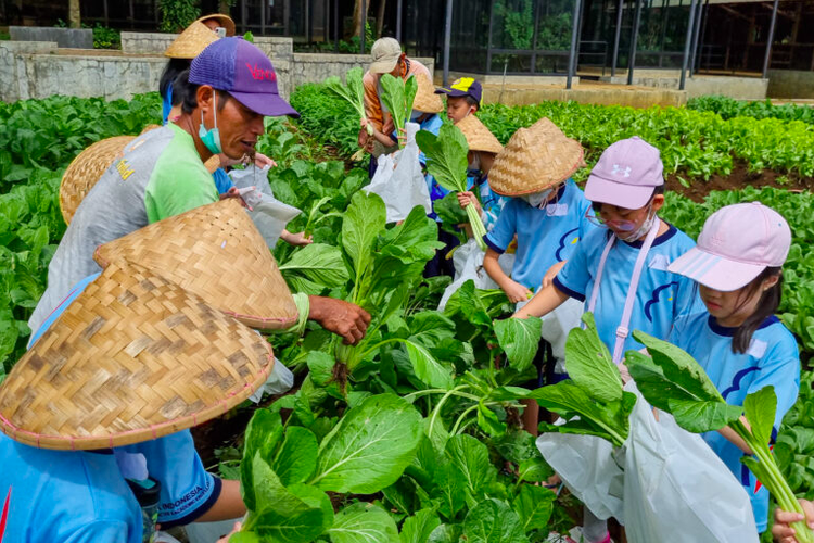 Kuntum Farmfield, Bogor. Salah satu wisata edukasi di Bogor yang cocok buat liburan sekolah