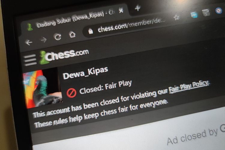 Ilustrasi akun Dewa_Kipas di Chess.com yang diblokir.