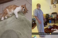 Ini Alasan Kucing Suka Mengganggu Orang Shalat dan Tidur di Sajadah