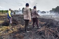 Kronologi Pria di Riau Tak Sadar Bakar 5 Hektar Lahan Warga, Berawal Bersihkan Lahan lalu Ditinggal Nonton TV