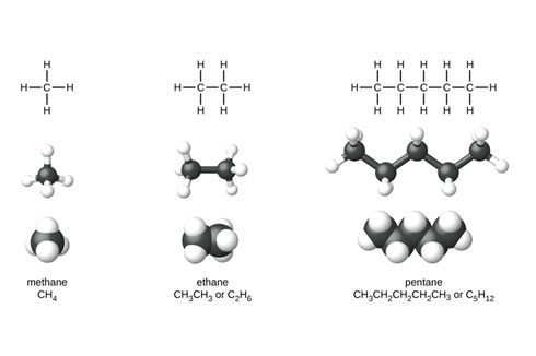 Deret Homolog Senyawa Hidrokarbon