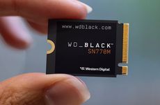 Western Digital Luncurkan SSD WD Black SN770M untuk Steam Deck dan ROG Ally