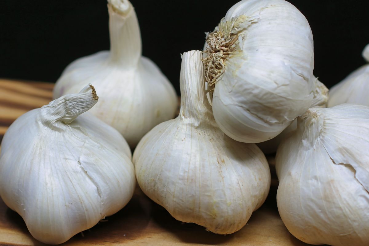 Ilustrasi bawang putih