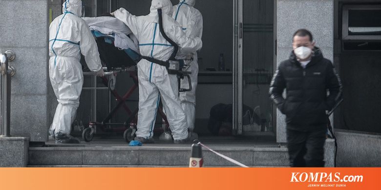 Update! 13 Negara Ini Konfirmasi Terinfeksi Virus Corona