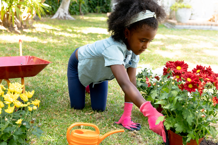 Sejarah Hari Apresiasi Tanaman Internasional, 13 April: Dari Komunitas hingga Tren Global