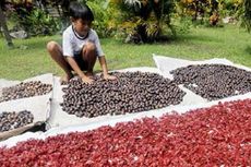 Banda, Jejak Kota Kosmopolitan di Pulau Pala 