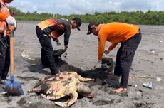 Kronologi KA Batara Kresna Tabrak Mobil di Sukoharjo, Rush Terpental Sampai 2 Meter