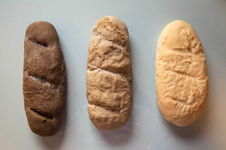 Roti yang dibuat dari tepung jangkrik. Dari kiri ke kanan, kandungan tepung jangkrik: 30 persen, 20 persen, dan 10 persen.