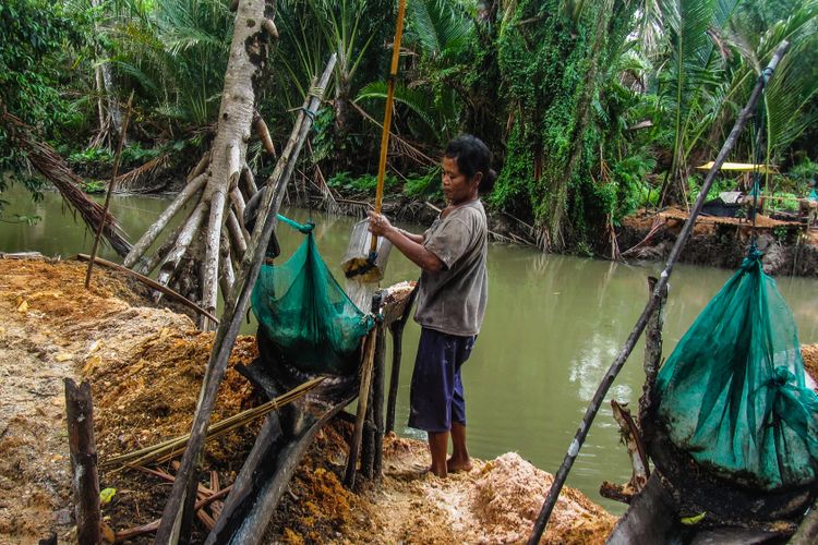 Ilustrasi petani mengolah sagu di tepi sungai di desa Sawai, Maluku