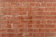 Kakorlantas Ucapkan Selamat Natal: Damai Menyertai Kita Semua