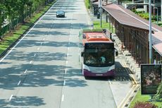 Tekan Polusi, Atap Bus di Singapura Ditanami Rumput 