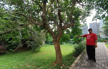 Taman Tulip di Ciracas Diduga Jadi Tempat Mesum dan Mabuk-mabukan ...