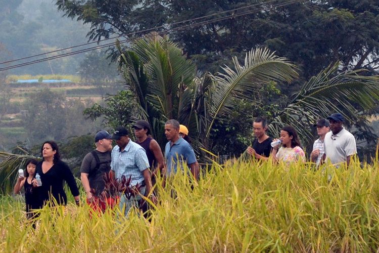 Mantan Presiden AS Barack Obama dan rombongan beristirahat setelah berjalan keliling sawah di Jatiluwih di Tabanan, Bali, Minggu (25/6/2017). Obama berlibur selama 10 hari di Indonesia, yaitu di Bali dan Jakarta, kota tempatnya menghabiskan masa kecil. Demikian disampaikan oleh pihak berwenang, 24 Juni.