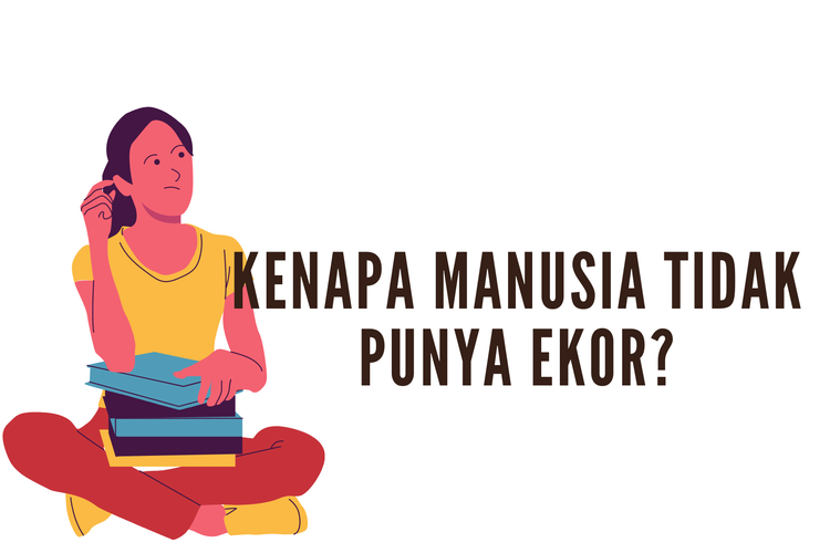 Ilustrasi kenapa manusia tidak punya ekor