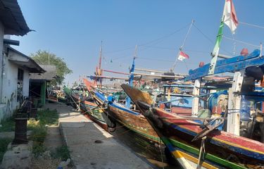 Hasil Tangkapan Rajungan Nelayan Karawang Turun karena Cuaca Bagus ...