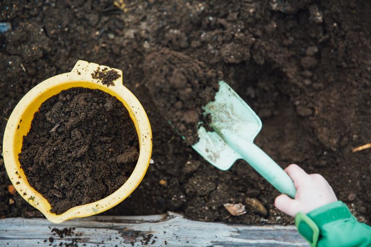 Manfaat pupuk kompos bagi tanah dan tanaman.