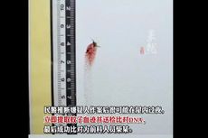 Noda Darah dan Nyamuk Mati Gepeng di Dinding Bantu Polisi Tangkap Pencuri