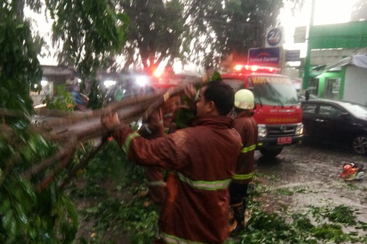 Hujan deras disertai angin sebabkan pohon tumbang di Jalan Kelapa Dua, Depok, Senin (23/12/2019).