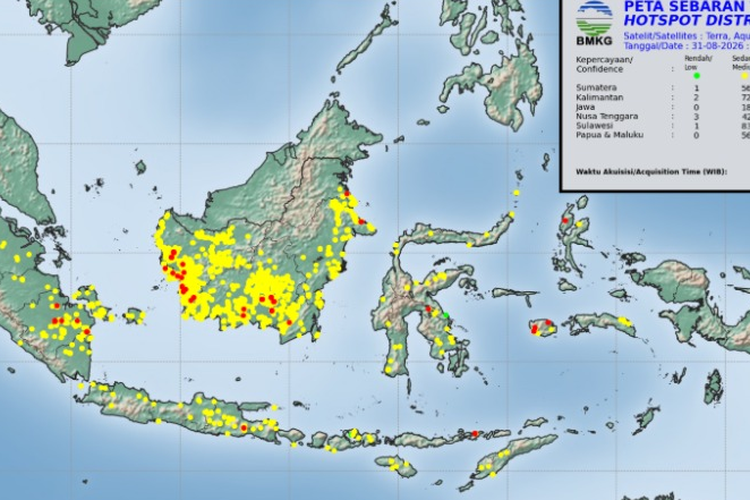 Wilayah dengan Kualitas Udara Terburuk Hari Ini, Kubu Raya dan Palangka Raya Kategori Berbahaya