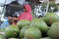 Berwisata ke Bener Meriah di Aceh, Jangan Lupa Beli Oleh-oleh Buah Segar