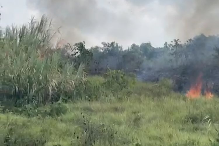 Lahan di Samarinda Terbakar hingga Mengancam Permukiman, Seorang Pekerja Ditangkap Polisi