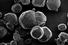 Mikroba Esktrem Ditemukan Terperangkap Kristal di Dasar Laut Jepang