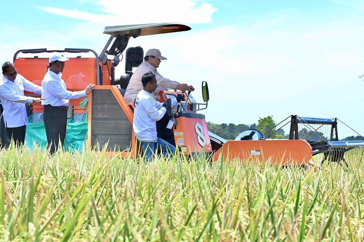 Yakin Swasembada Pangan, Eksponen 98: Dalam 6 Bulan Pemerintahan Prabowo, Kita Kebanjiran Beras