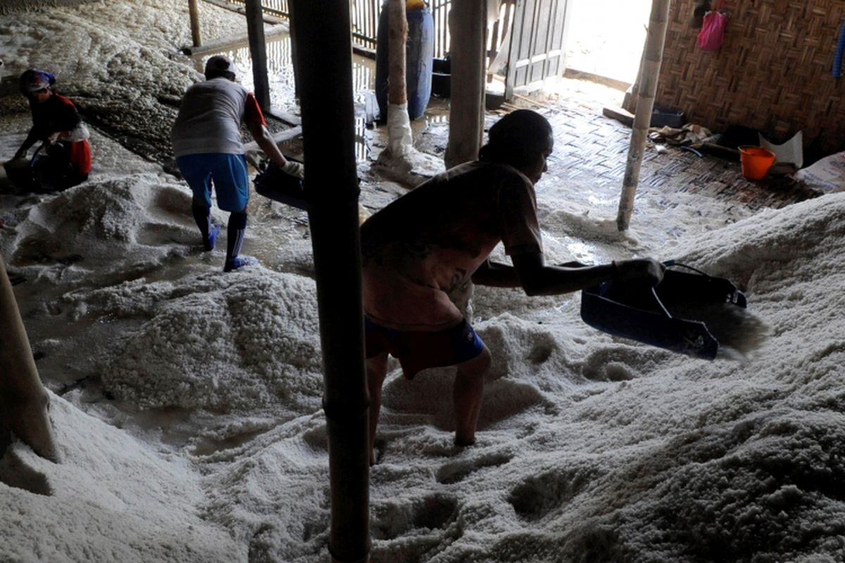 Pekerja memproses pembuatan garam di Desa Ketitang, Kecamatan Batang, Kabupaten Pati, Jawa Tengah, Kamis (8/9/2016). Peningkatan kualitas garam dari para perajin diharapkan juga mendorong harga jual yang lebih baik hingga mencapai Rp 600 per kilogram. Diperkirakan permintaan garam untuk kebutuhan industri mencapai 2 juta ton per tahun.

Kompas/P Raditya Mahendra Yasa (WEN)
08-09-2016