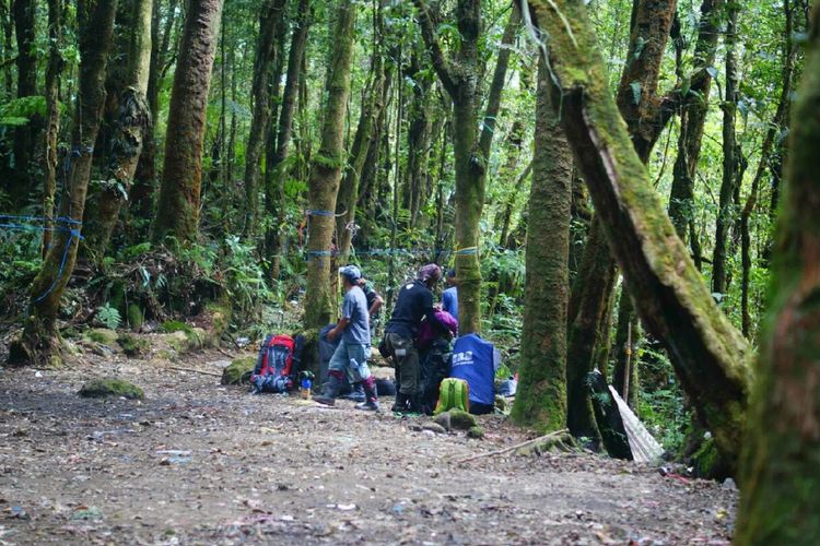 Sekelompok pendaki tengah mengepak bawaan di pos Kandang Batu, Gunung Gede-Pangrango.
