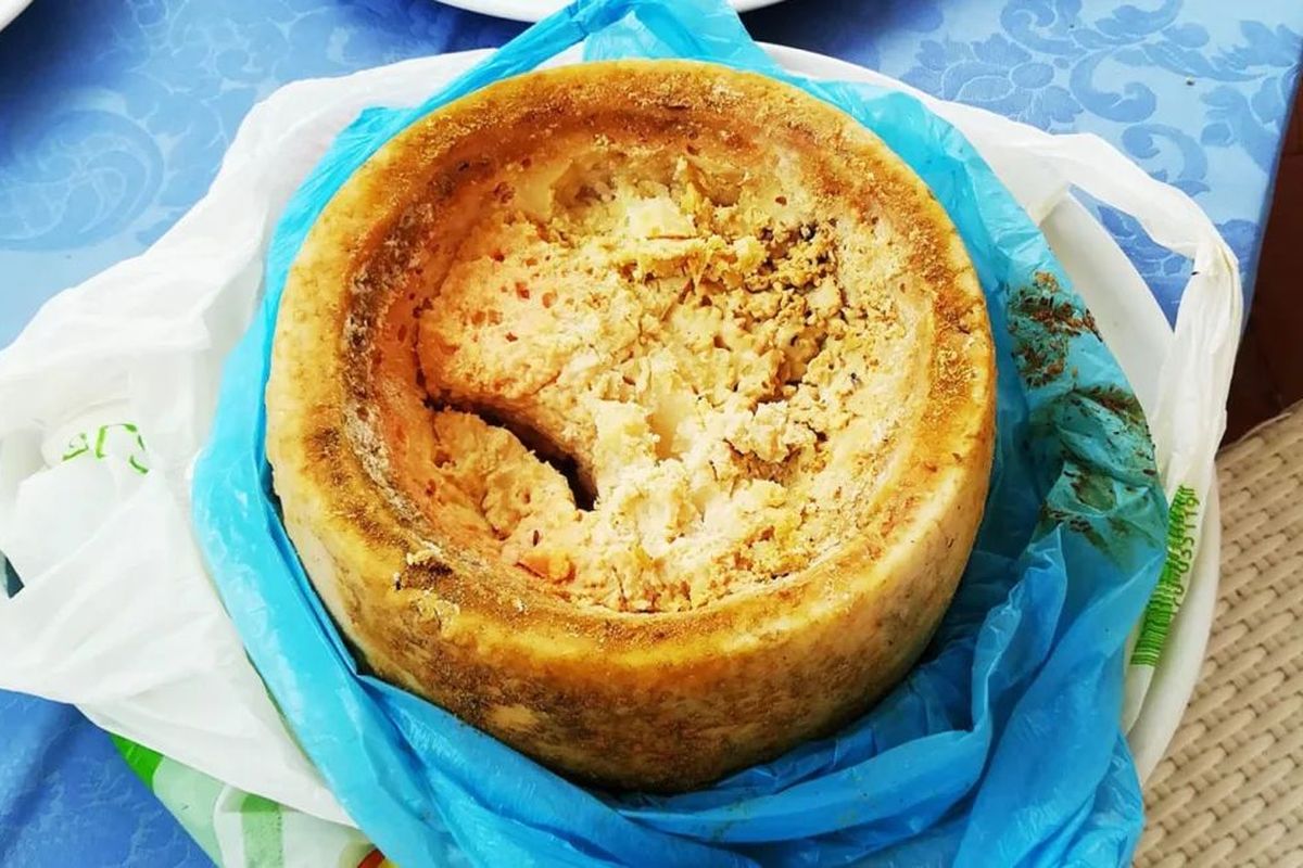 Cazu Marzu, keju khas Pulau Sardinia yang dinobatkan sebagai keju paling berbahaya di dunia, karena proses fermentasinya melibatkan belatung.