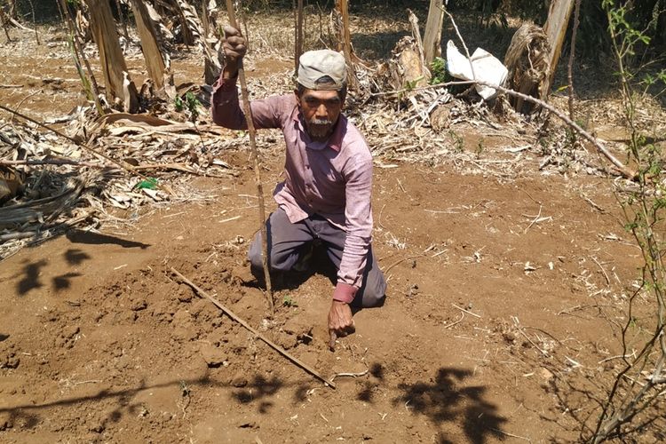 Seorang warga menunjukan retakan tanah yang telah ditutup di perbukitan Gunung Batoa, Dusun Suradita, Desa Ciengang, Kecamatan Gegerbitung, Sukabumi, Jawa Barat, Sabtu (9/11/2019).