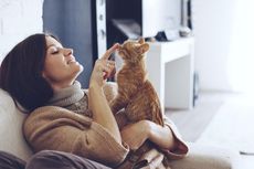 5 Cara Menunjukkan Kasih Sayang kepada Kucing