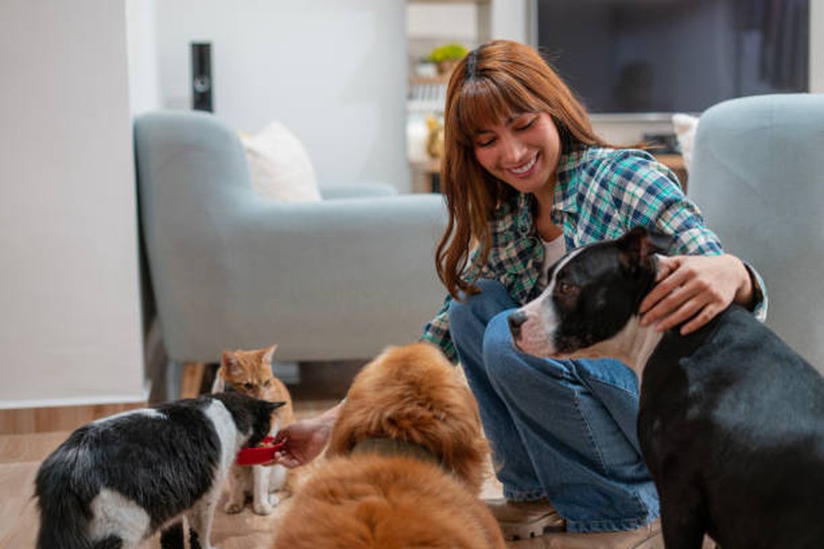 Pemilik anjing dan kucing perlu mencuci tangan agar menghindari terkena bakteri resisten antibiotik.