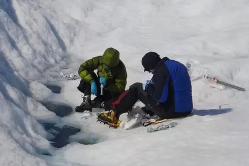 Perubahan Iklim: Gletser Mencair, Ribuan Ton Bakteri Merebak ke Lingkungan