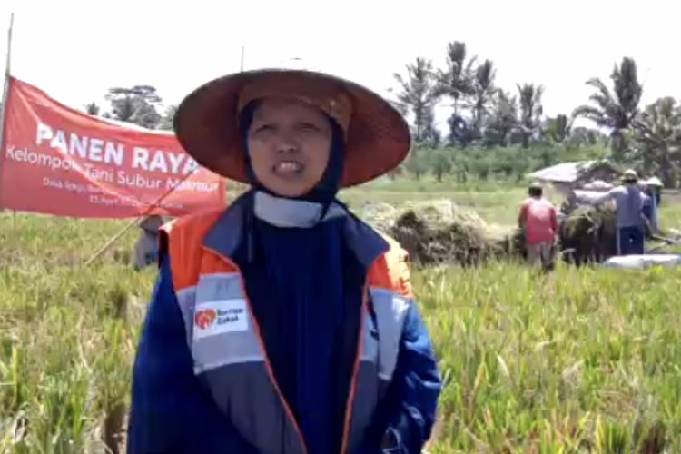 Salah satu warga Sragen, Banyuwangi, Djuwita tengah panen raya. Kegiatan di kampung tersebut masih berjalan seperti biasa. Sedangkan untuk pemudik, mereka memberlakukan protokol karantina.