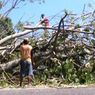 Petugas PPSU Tewas Tertimpa Batang Pohon Tumbang di Cilangkap