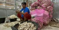 Cerita Para Buruh Pengupas Bawang di Pasar Legi Solo: Upah Rp 600 Per Kg untuk Topang Kebutuhan Keluarga