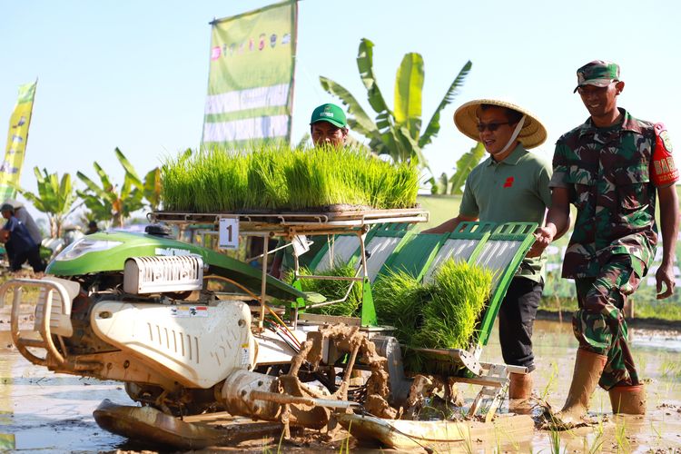 Bupati Bandung Dadang Supriatna atau akrab disapa Kang DS sedang menjajal Alsintan Rice Transplanter. 