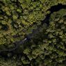 Tanpa UU Kehutanan Baru, Hutan dan Masa Depan Iklim Terancam