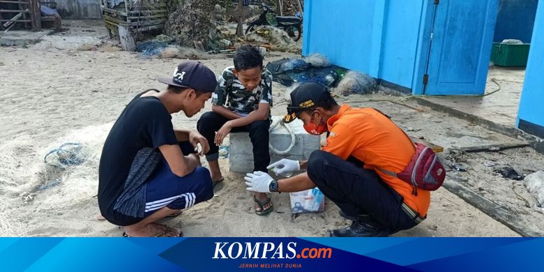 Ratusan Wisatawan Pantai Gunungkidul Tersengat Ubur-ubur