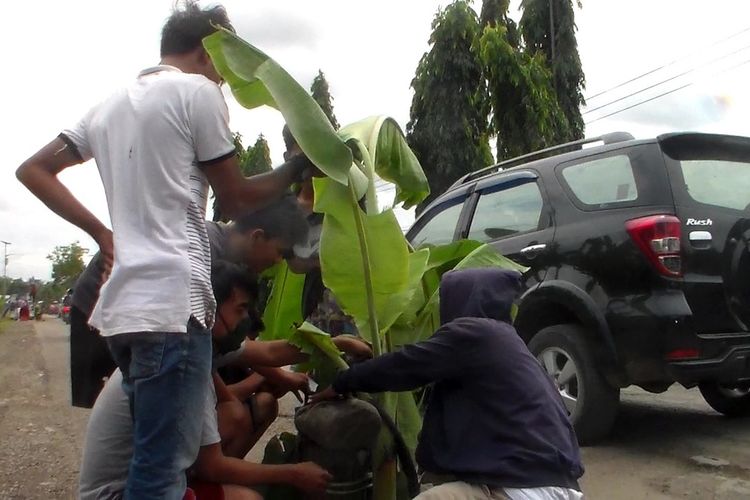 Warga di Desa Lengkong, Kecamatan Bua, kabupaten Luwu, sulawesi Selatan, tanam pisang di jalan trans sulawesi karena kesal jalan tak kunjung diperbaiki, Kamis (25/06/2020)