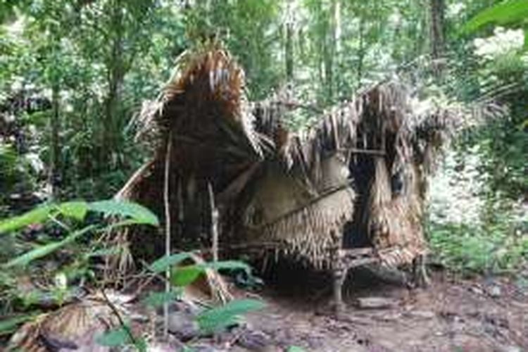 Rumah orang Polahi yang berada di jantung hutan Nantu, Gorontalo. Mereka membentuk kelompok kecil di tengah lebatnya rimba Gorontalo