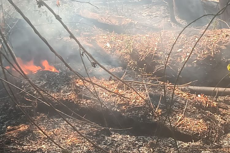 Kebakaran lahan di kawasan hutan lindung Egon Ilinmedo di Desa Egon Buluk, Kecamatan Waigete, Kabupaten Sikka, Nusa Tenggara Timur (NTT).