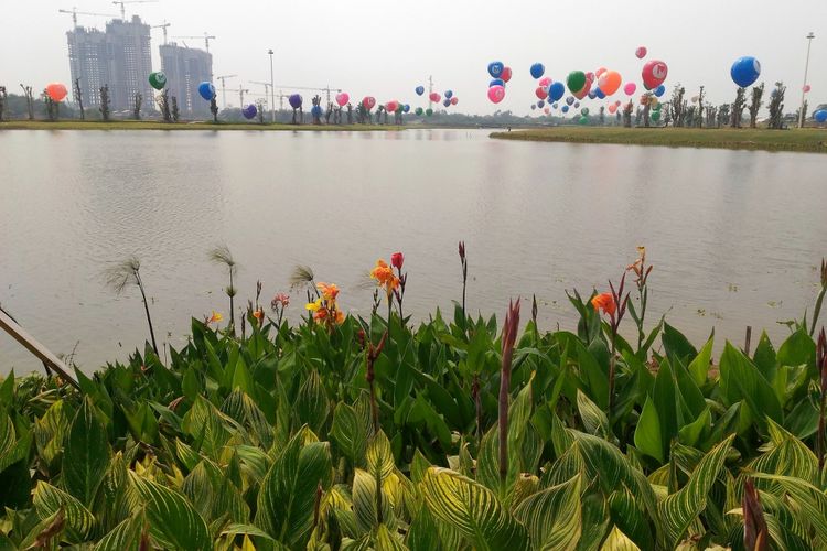 Lippo Group membangun kota baru Meikarta di Cikarang, Kabupaten Bekasi, Jawa Barat. Di tengah kota itu, dibangun Central Park seluas 100 hektar yang dilengkapi danau seluas 25 hektar yang mampu menampung 300 meter kubik air.