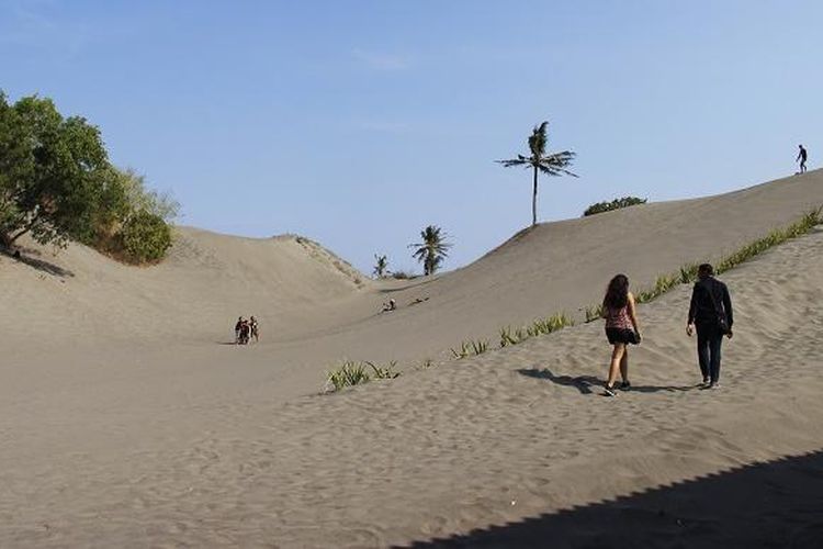 Wisatawan mengunjungi obyek wisata gumuk pasir Parangkusumo, Kecamatan Kretek, Bantul, Daerah Istimewa Yogyakarta, Minggu (23/8/2015). Sebagian wisatawan memanfaatkan gumuk pasir untuk melakukan permainan sandboarding.